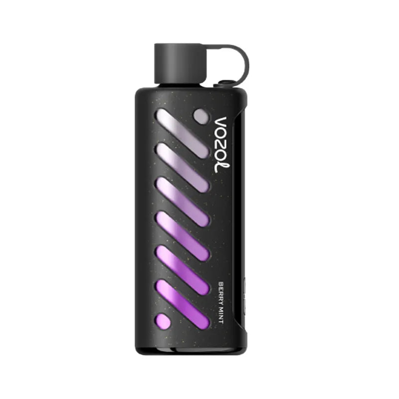 Berry Mint Vozol Gear 25000 25ml