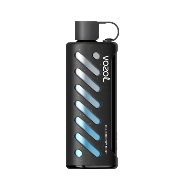Blueberry Mint Vozol Gear 25000 25ml