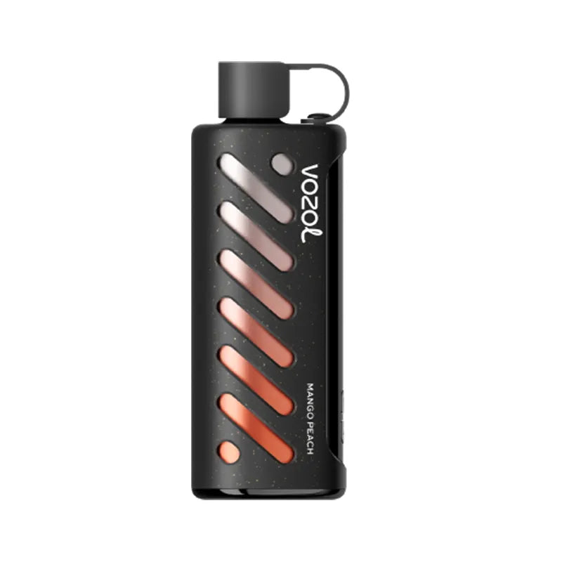 Mango Peach Vozol Gear 25000 25ml